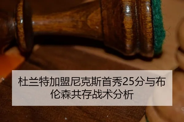 du-lan-te-jia-meng-ni-ke-si-shou-xiu-fen-yu-bu-lun-sen-gong-cun-zhan-shu-fen-xi-3-363.jpg
