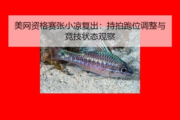 mei-wang-zi-ge-sai-zhang-xiao-liang-fu-chu-chi-pai-pao-wei-tiao-zheng-yu-jing-ji-zhuang-tai-guan-cha-3-530.jpg